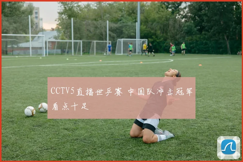 CCTV5直播世乒赛 中国队冲击冠军看点十足