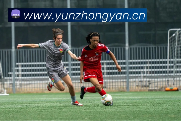 开云官方登陆入口平台生态图