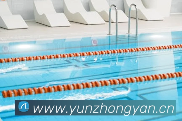 开云官方登陆入口APP 封面图